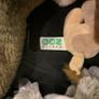 Soft Animal Teddies Image 4