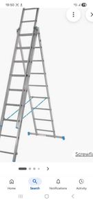 Large extendable ladder