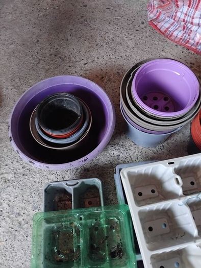 Plant Pots