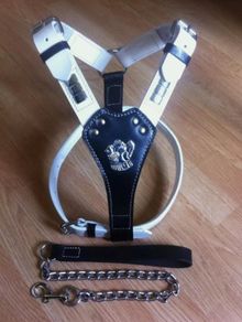 Geniune Dog Leather Harness With Free Chain Lead