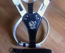 Geniune Dog Leather Harness With Free Chain Lead