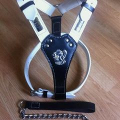 Geniune Dog Leather Harness With Free Chain Lead