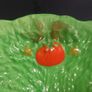 Superb Vintage Kitsch Fieldings Crown Devon Large Circular Green Lettuce Leaves Salad/Fruit Bowl with Fabulous Hand-Painted Tomatoes!! Circa 1930+ Image 5