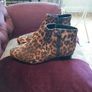 Ladies  M&S leopard boots brand new size 4 and half Image 2