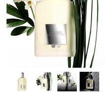 TOM FORD Grey Vetiver 100ml niche parfum