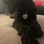 Personalised Engraved Silver Heart shape Dog tag Image 3
