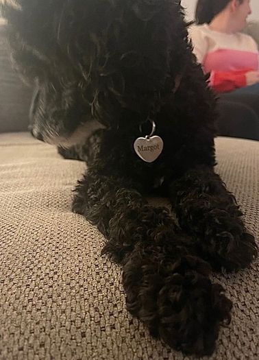 Personalised Engraved Silver Heart shape Dog tag