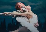 Swan Lake at Bord Gais, Wed 19th @7:30pm