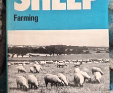 Vintage Sheep Farming Book