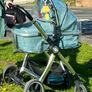 Babylo panorama cat buggy Image 2