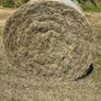 Hay Image 2