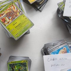 Pokemon Bulk cards a lot, Destined, Ascended, Prismatic etc