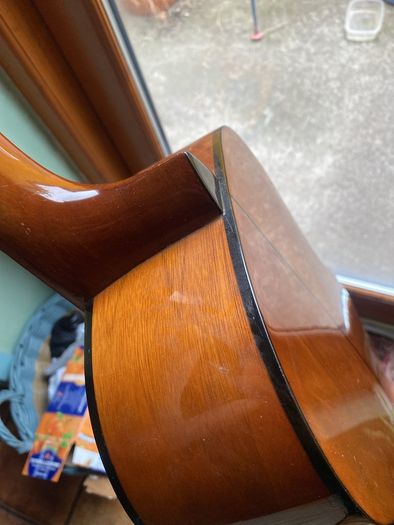 Sx acoustic guitar