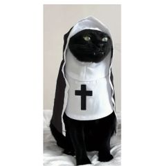 Halloween Costume