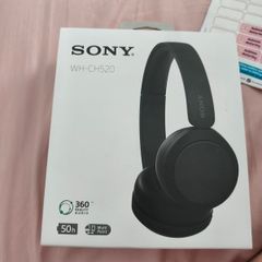 earphones