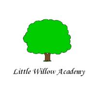 Little Willow Academy Jobs in Ireland