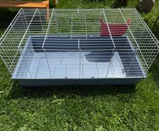 Bunny indoor crate and wooden outdoor bed