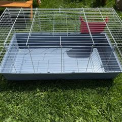 Bunny indoor crate and wooden outdoor bed