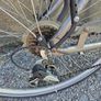 Ladies bike Image 3