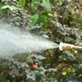 gun wash Image 5