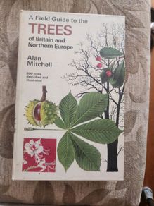 Trees  A Field Guide To The Trees Of Britain And Northern Europe   By Alan Mitchell. Hardback In Good Condition.