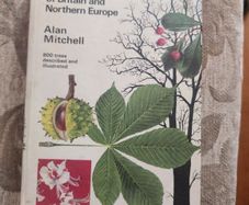Trees  A Field Guide To The Trees Of Britain And Northern Europe   By Alan Mitchell. Hardback In Good Condition.