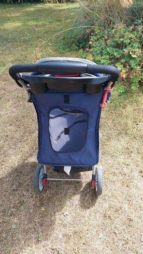dog buggy