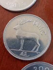 Millennium 1 punt Irish coins