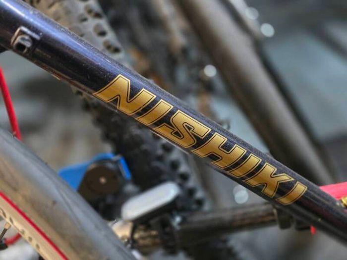 Vintage Nishiki Frame + Sealed Wheels