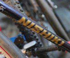 Vintage Nishiki Frame + Sealed Wheels