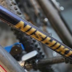 Vintage Nishiki Frame + Sealed Wheels
