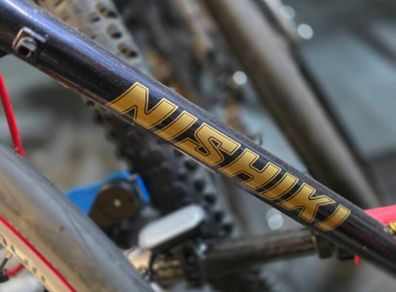 Vintage Nishiki Frame + Sealed Wheels
