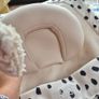 Baby Bouncer Image 5