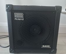 Roland Cube 30 Bass Amp