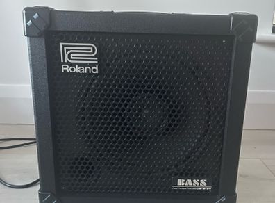 Roland Cube 30 Bass Amp