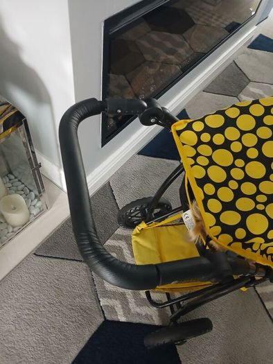 doll and buggy