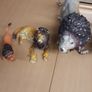 Lions collection Image 2