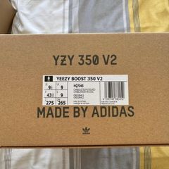 Yeezy 350