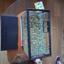 fish tank Image 2