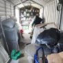 Garden Shed Image 5