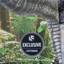 Jurassic World Poster Image 2