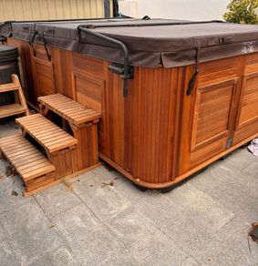 Arctic Spa Kingfisher Swim Spa