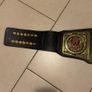 WWE Undisputed Title Adult Size Image 4