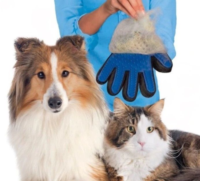 Pet Grooming Glove and Massager / Dog Brush Glove / Cat Brush Glove
