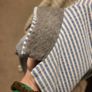 Douuod Boys Shorts Suit Age 8 Image 4