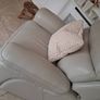 Harvey Norman Cream Italian Leather Almost New Recliner Image 2