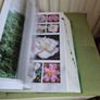 Flora The Gardener's Bible with CD Image 7