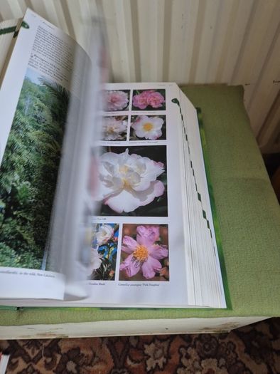 Flora The Gardener's Bible with CD