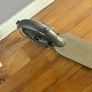E Scooter Image 2
