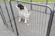 8 Panel Dog Enclosure Kennel Run Cage Free Delivery
